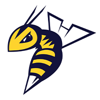 EDMONTON STINGERS Team Logo